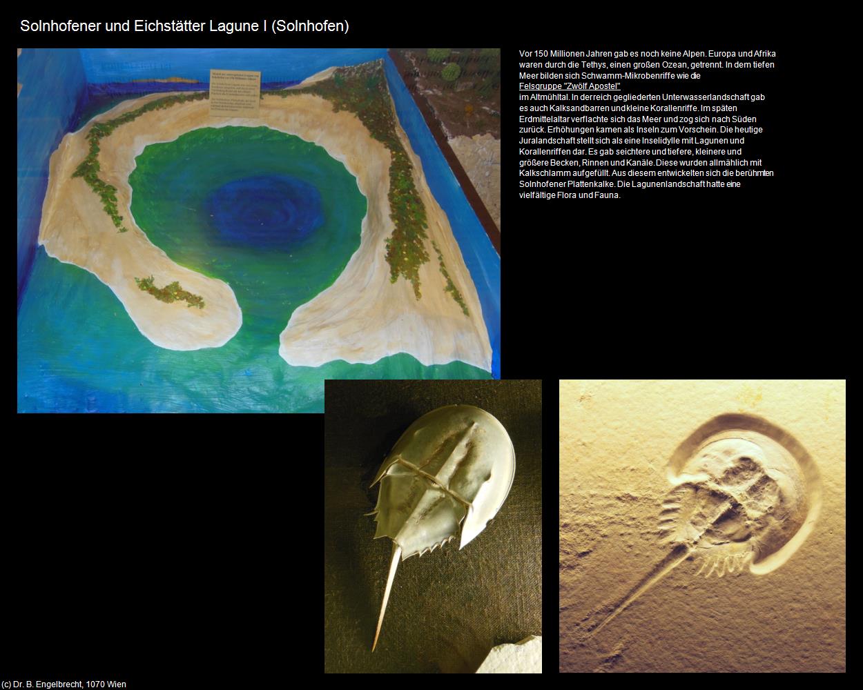 Solnhofener und Eichstätter Lagune I (Solnhofen) in Kulturatlas-BAYERN(c)B.Engelbrecht