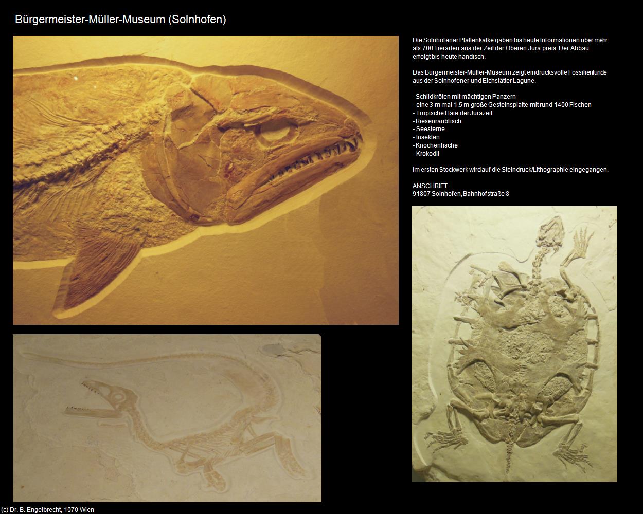 Bürgermeister-Müller-Museum  (Solnhofen) in Kulturatlas-BAYERN