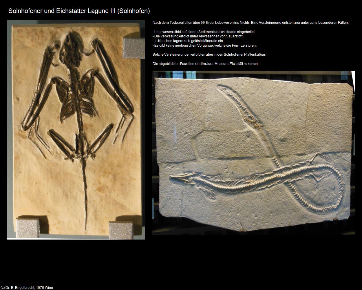 Solnhofener und Eichstätter Lagune III (Solnhofen) in Kulturatlas-BAYERN