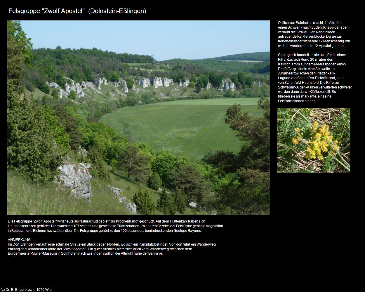 12 Apostel Felsen (Eßlingen) (Dolnstein) in Kulturatlas-BAYERN