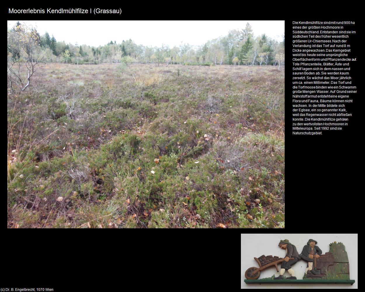 Moorerlebnis Kendlmühlfilze I (Grassau) in Kulturatlas-BAYERN