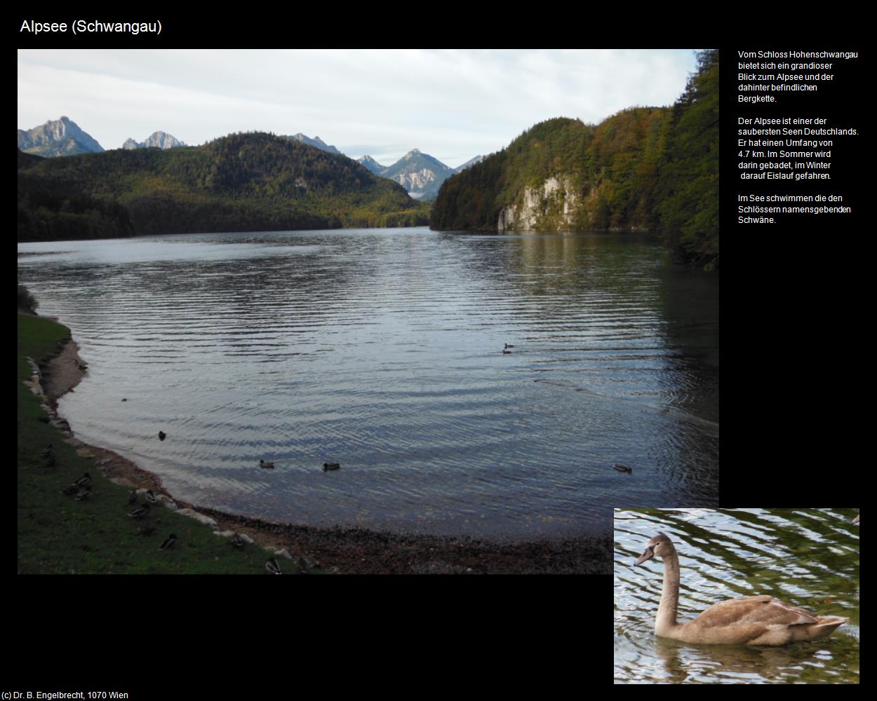 Alpsee  (Schwangau) in Kulturatlas-BAYERN