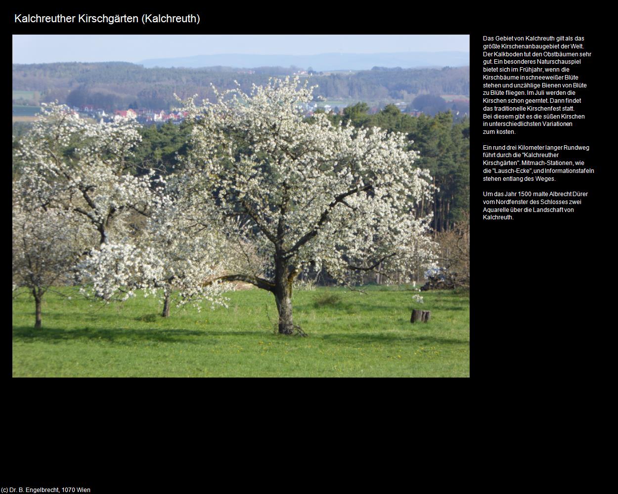 Kalchreuther Kirschgärten (Kalchreuth) in Kulturatlas-BAYERN