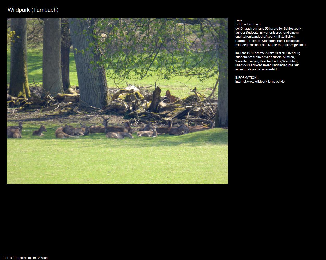 Wildpark (Tambach) in Kulturatlas-BAYERN(c)B.Engelbrecht