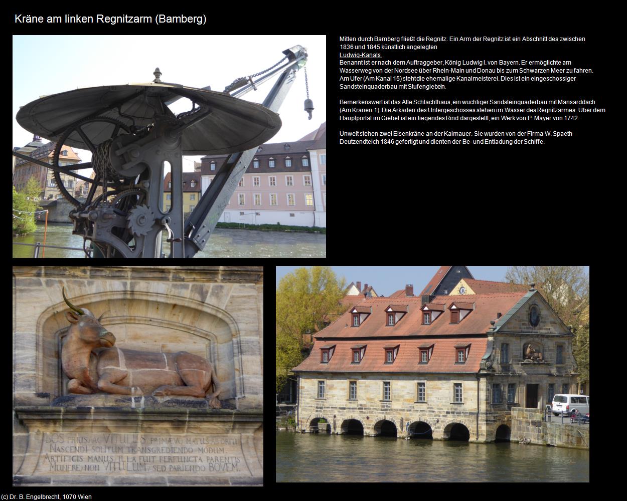 Kräne am Linken Regnitzarm (Bamberg) in Kulturatlas-BAYERN(c)B.Engelbrecht