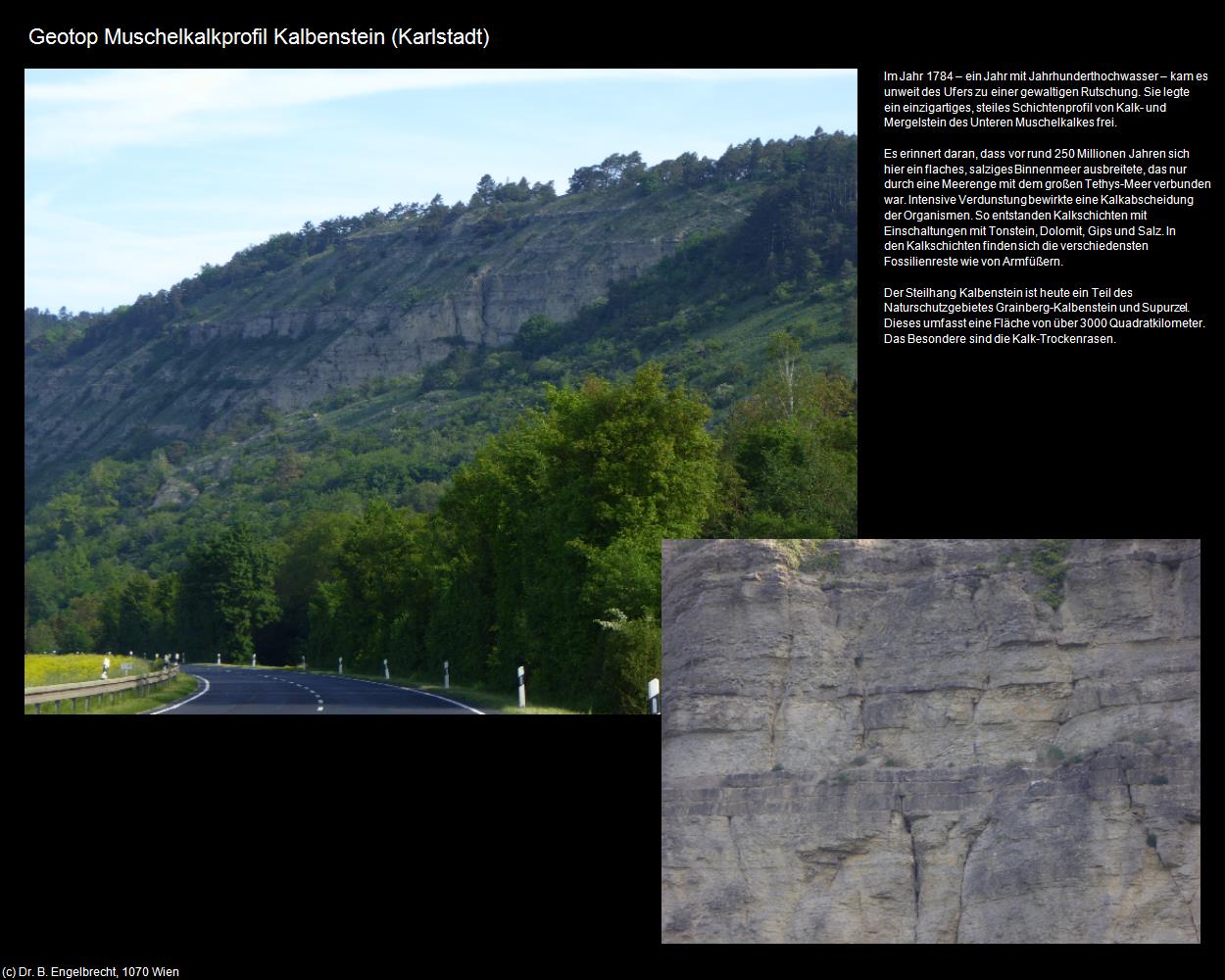 Geotop Muschelkalkprofil Kalbenstein (Karlstadt) in Kulturatlas-BAYERN