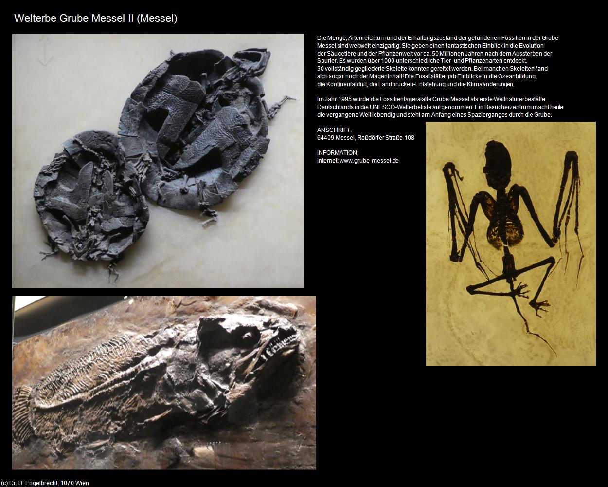 Welterbe Grube Messel II  (Messel) in Kulturatlas-HESSEN