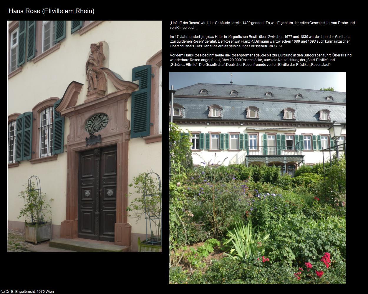 Haus Rose (Eltville am Rhein) in Kulturatlas-HESSEN