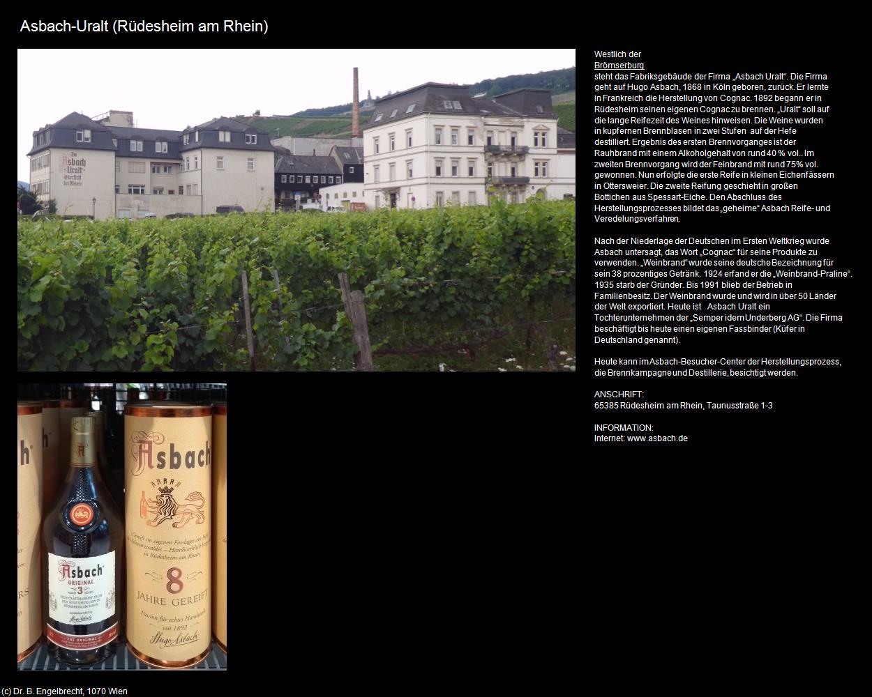 Asbach-Uralt (Rüdesheim am Rhein) in Kulturatlas-HESSEN(c)B.Engelbrecht