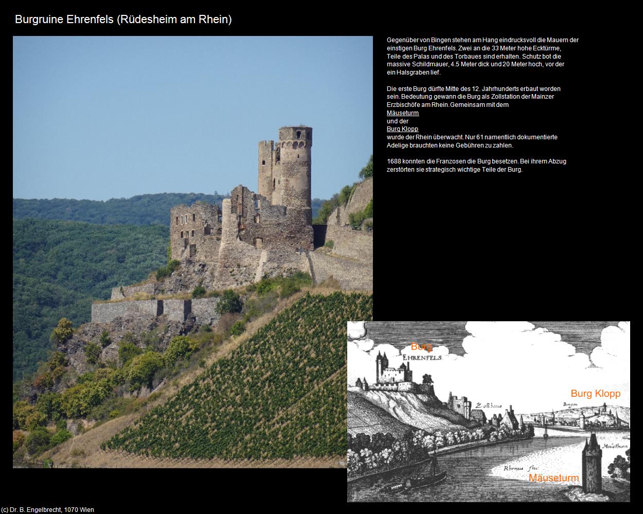 Burgruine Ehrenfels (Rüdesheim am Rhein) in Kulturatlas-HESSEN(c)B.Engelbrecht