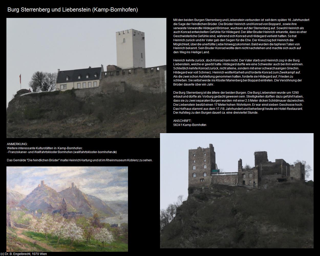 Burg Sterrenberg und Liebenstein  (Kamp-Bornhofen (DEU-RP)) in RHEINLAND-PFALZ und SAARLAND