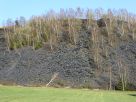 Steinegarten (Lehesten )