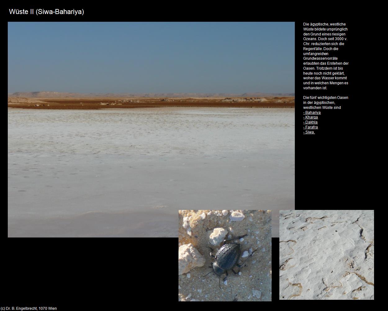 Wüste II (Siwa-Bahariya, Westliche Wüste) in Kulturatlas-ÄGYPTEN(c)B.Engelbrecht