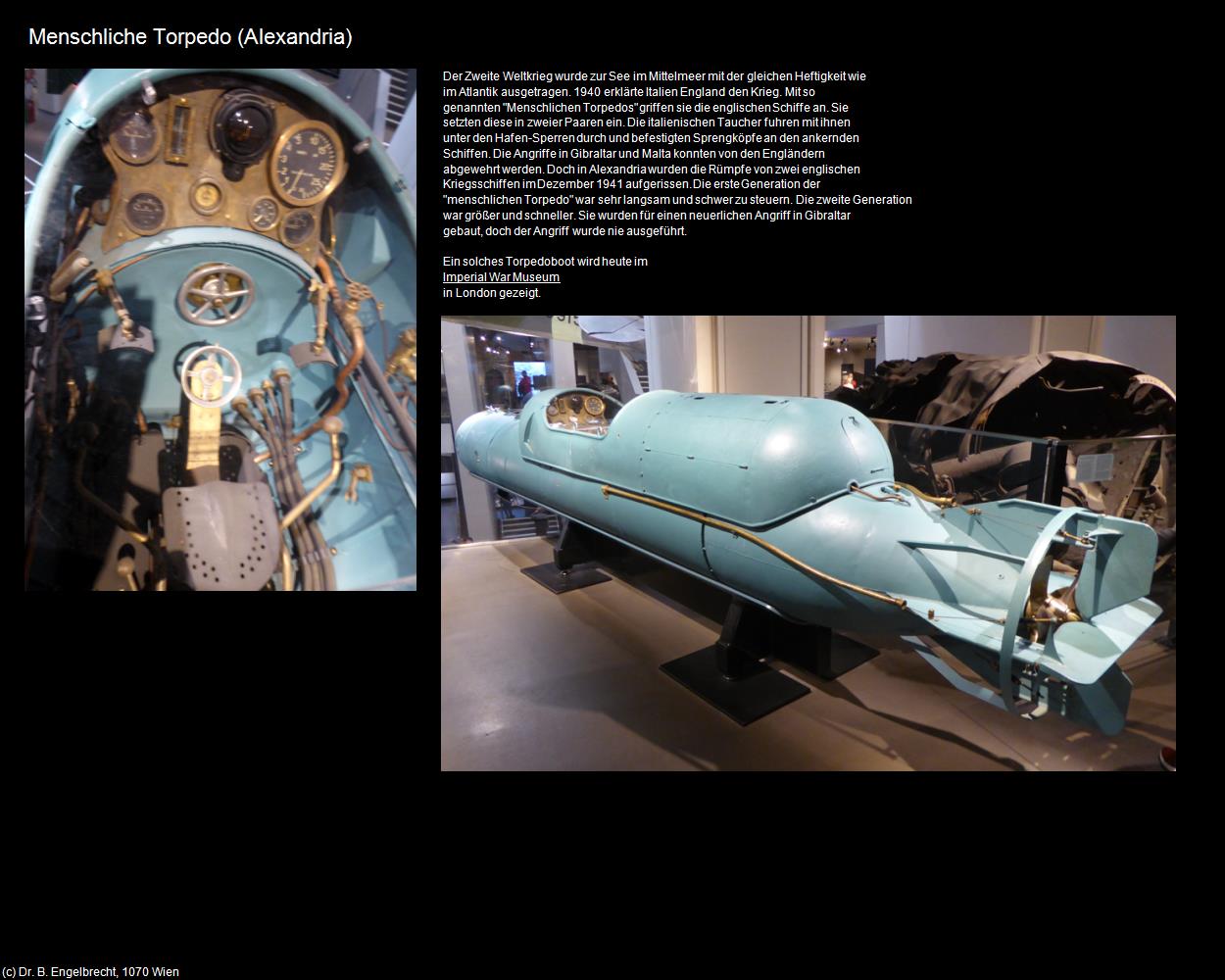 Menschliche Torpedo (Alexandria, Nil-Delta) in Kulturatlas-ÄGYPTEN(c)B.Engelbrecht