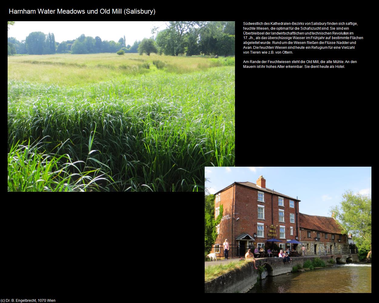 Harnham Water Meadows und Old Mill  (Salisbury, England) in Kulturatlas-ENGLAND und WALES