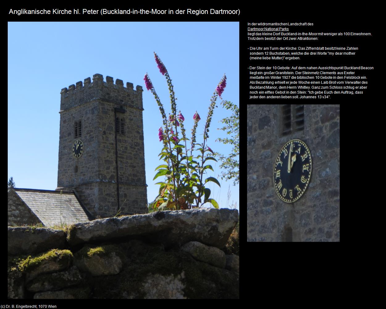 Anglikanische Kirche hl. Peter (Buckland-in-the-Moor) (Dartmoor, England) in Kulturatlas-ENGLAND und WALES(c)B.Engelbrecht