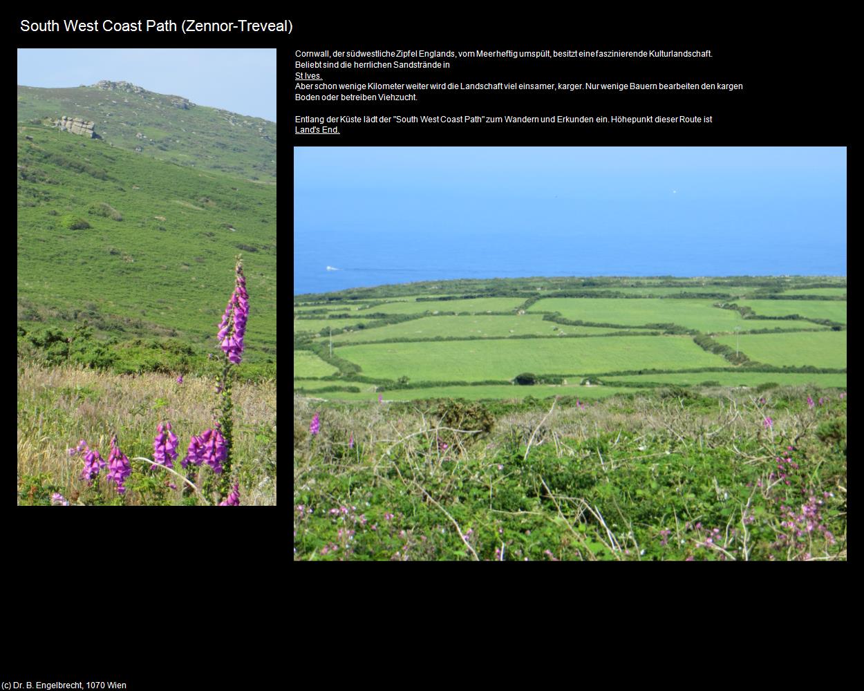 South West Coast Path (Treveal) (Zennor bei Saint Ives, England) in Kulturatlas-ENGLAND und WALES(c)B.Engelbrecht
