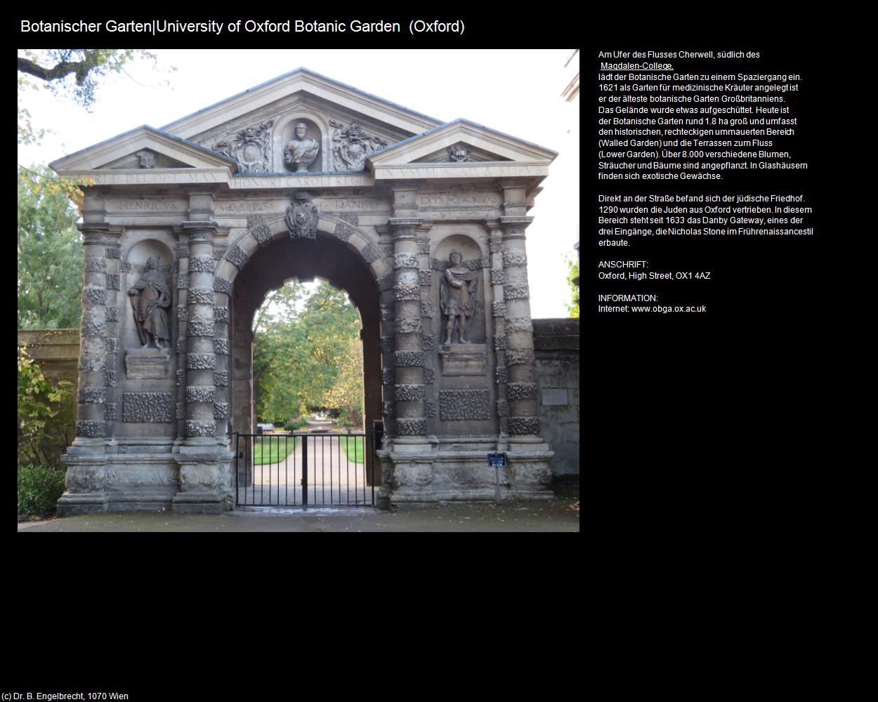 Botanischer Garten|University of Oxford Botanic Garden (Oxford, England) in Kulturatlas-ENGLAND und WALES(c)B.Engelbrecht