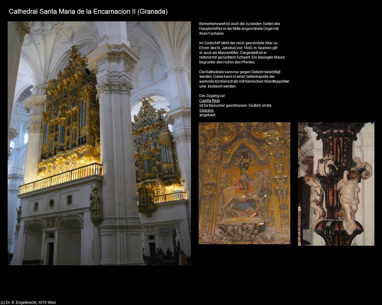 Cathedral Santa Maria de la Encarnacion II (Granada) in Kulturatlas-SPANIEN-ANDALUSIEN(c)B.Engelbrecht
