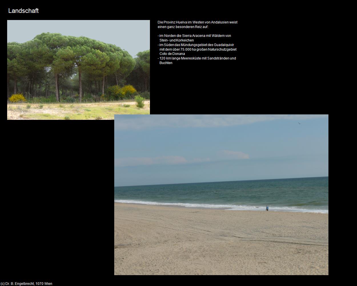 Landschaft (Palos de la Frontera) in Kulturatlas-SPANIEN-ANDALUSIEN