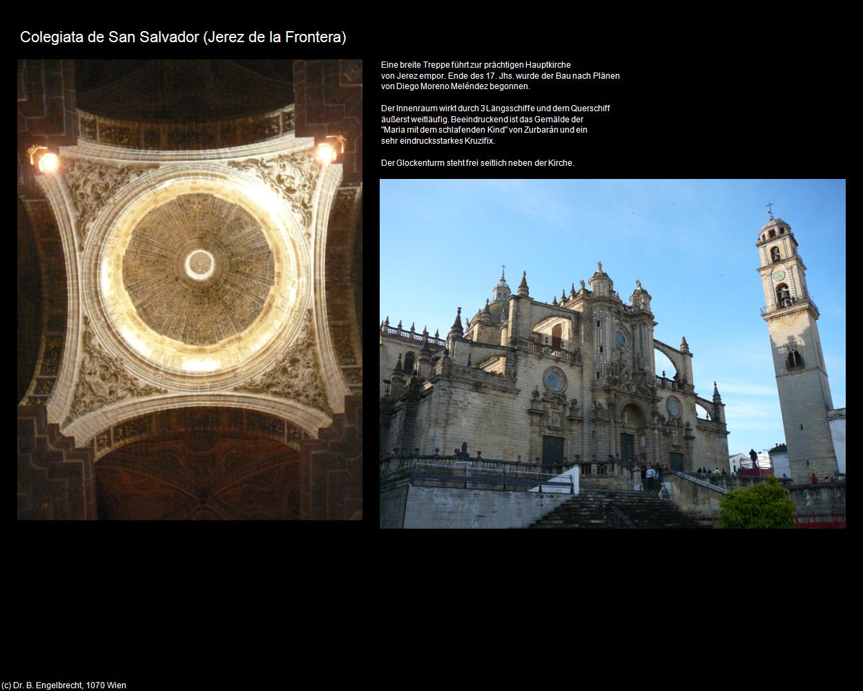 Colegiata de San Salvador (Jerez de la Frontera) in Kulturatlas-SPANIEN-ANDALUSIEN