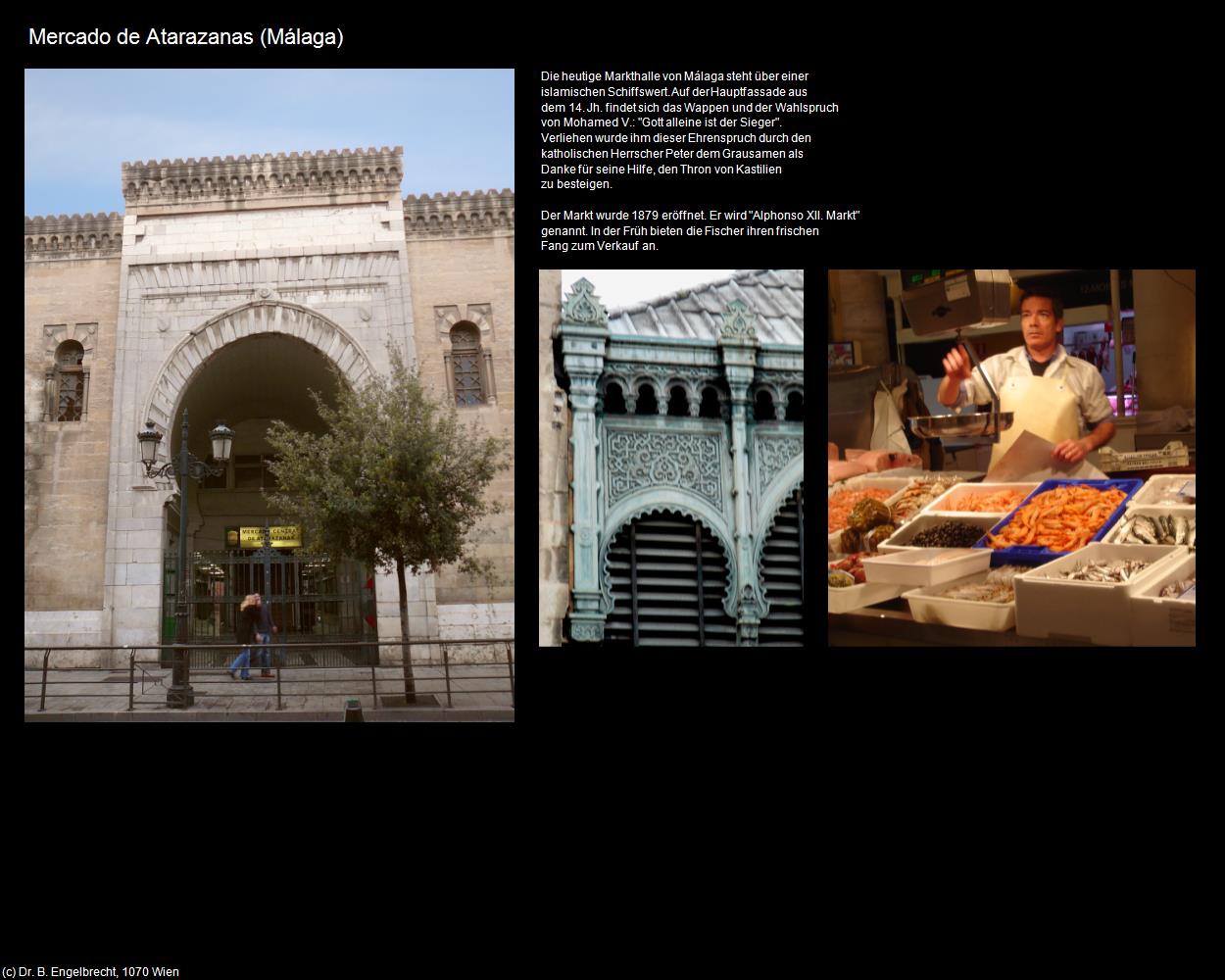 Mercado de Atarazanas (Málaga) in Kulturatlas-SPANIEN-ANDALUSIEN