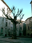 Sant Pere (Besalú)