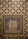Museu dArqueologia (Barcelona)