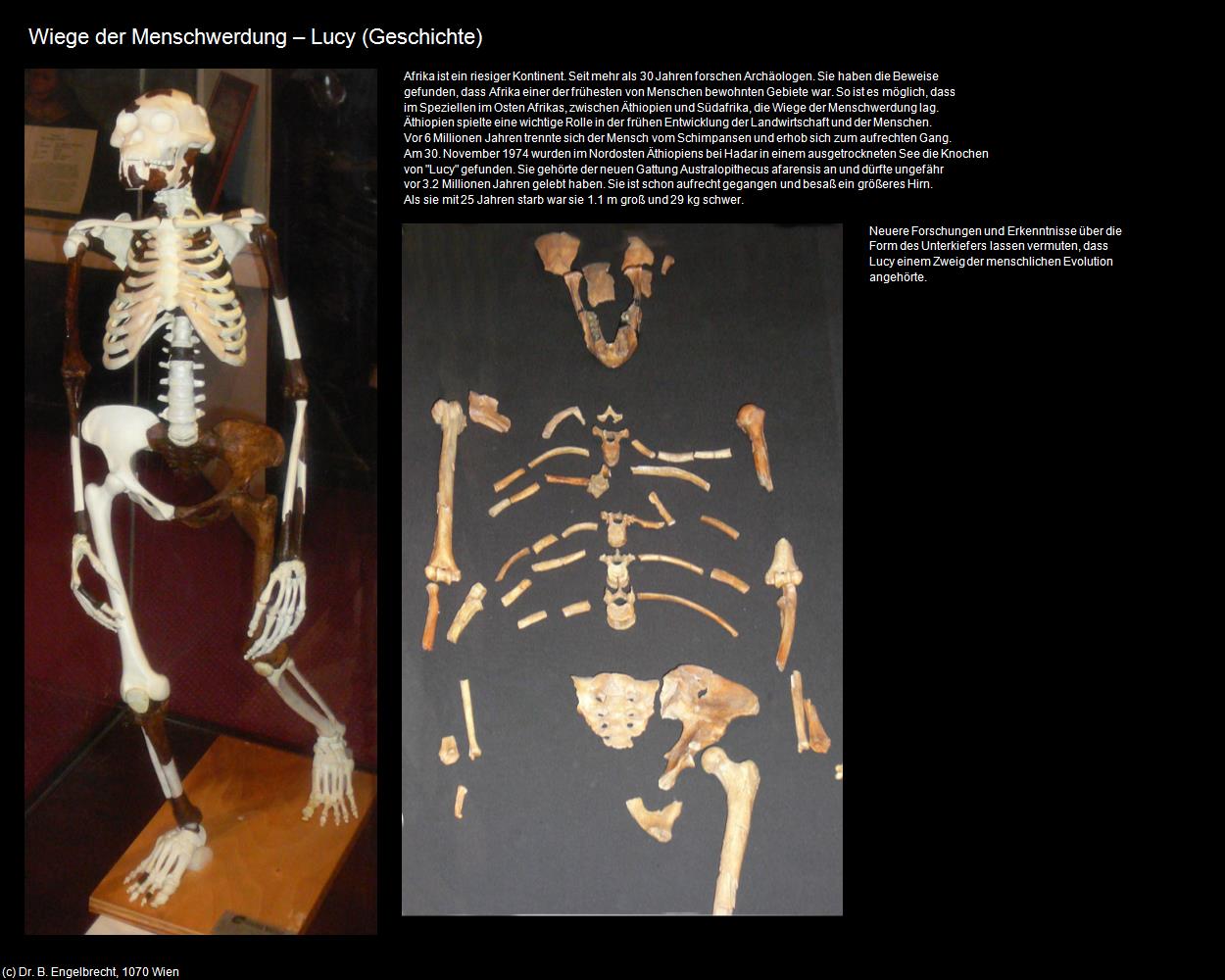 Wiege der Menschwerdung - Lucy (+Geschichte) in Äthiopien