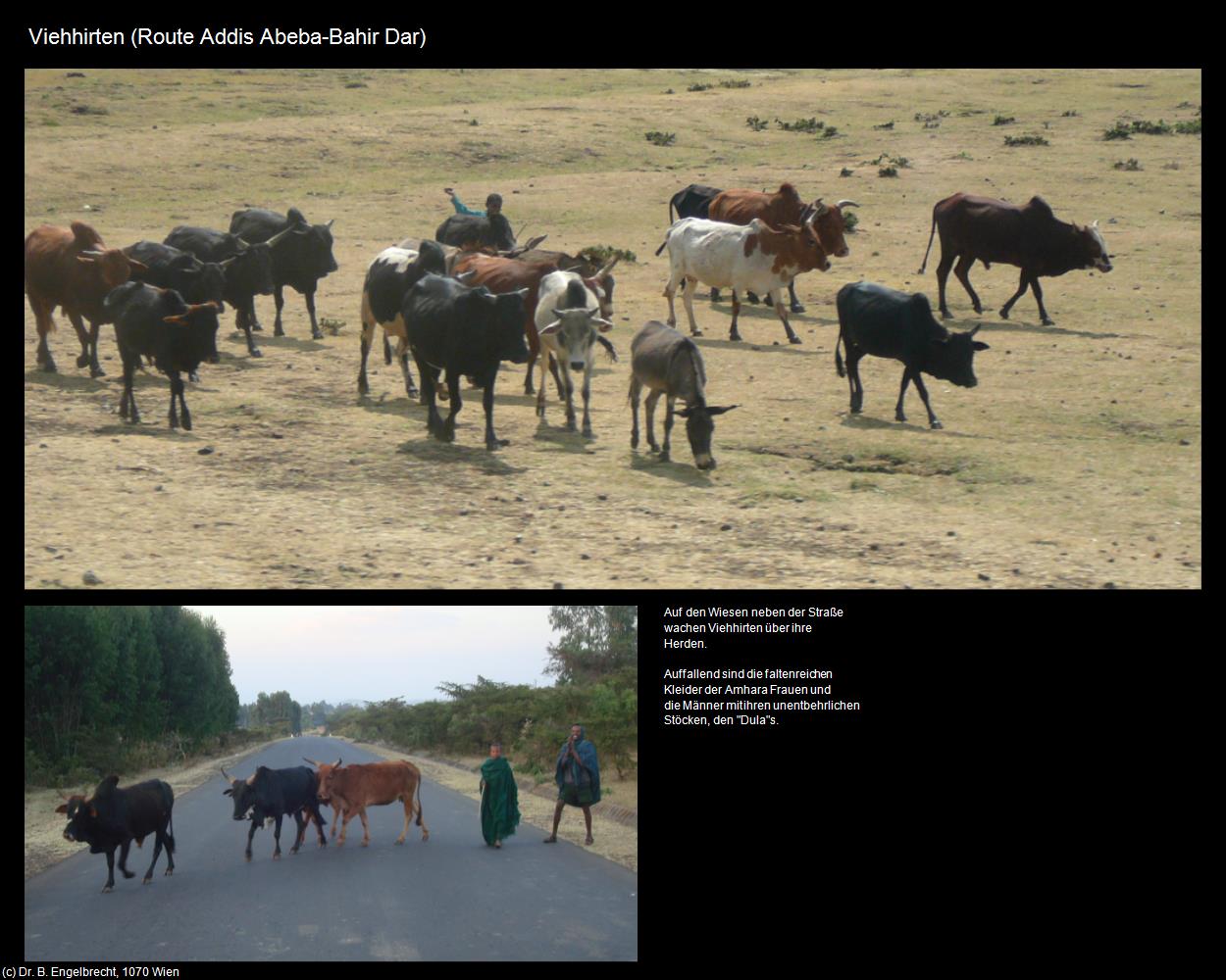 Viehhirten (Route Addis Abeba-Bar Dahir) in Äthiopien