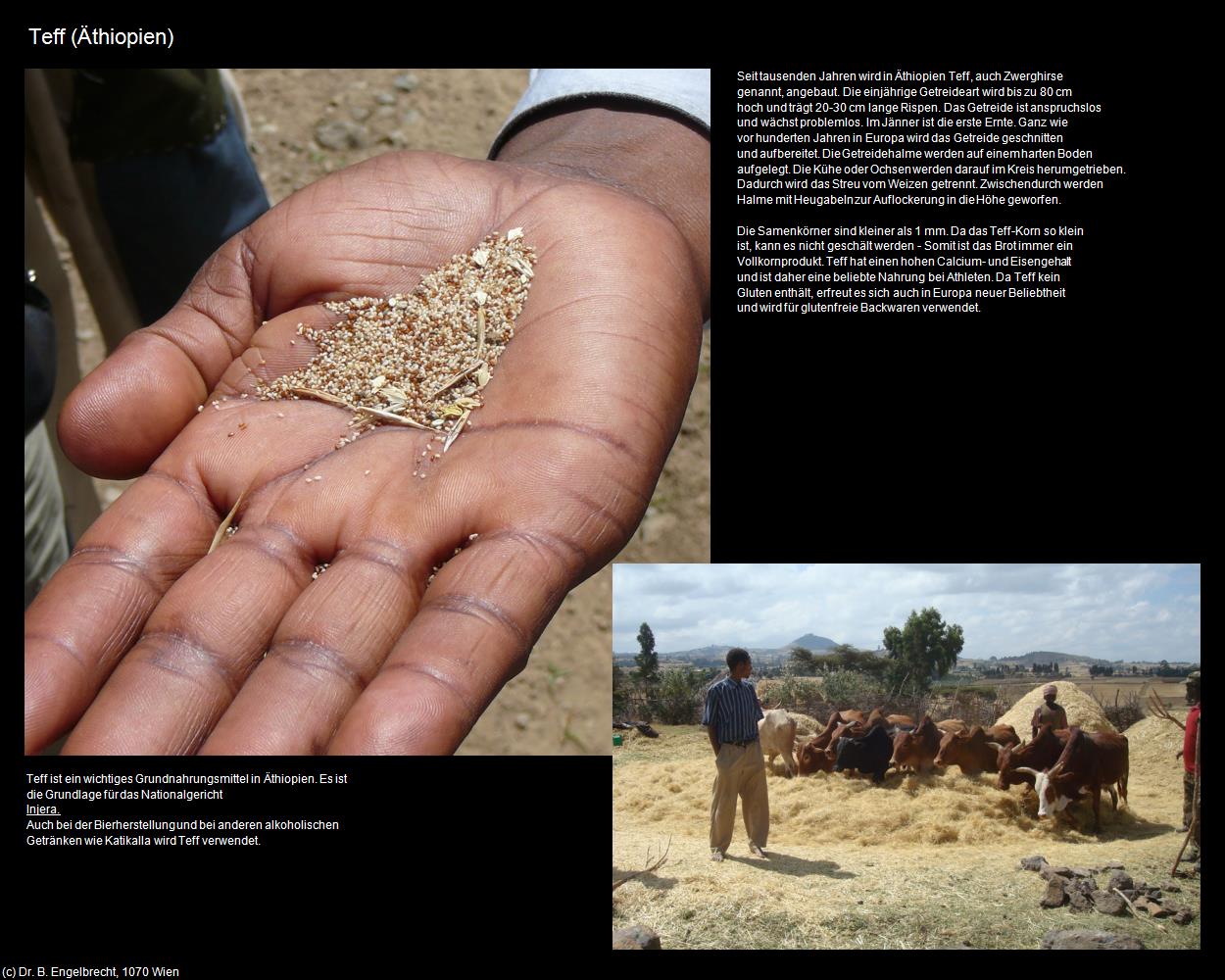 Teff (+Allgemein) in Äthiopien(c)B.Engelbrecht