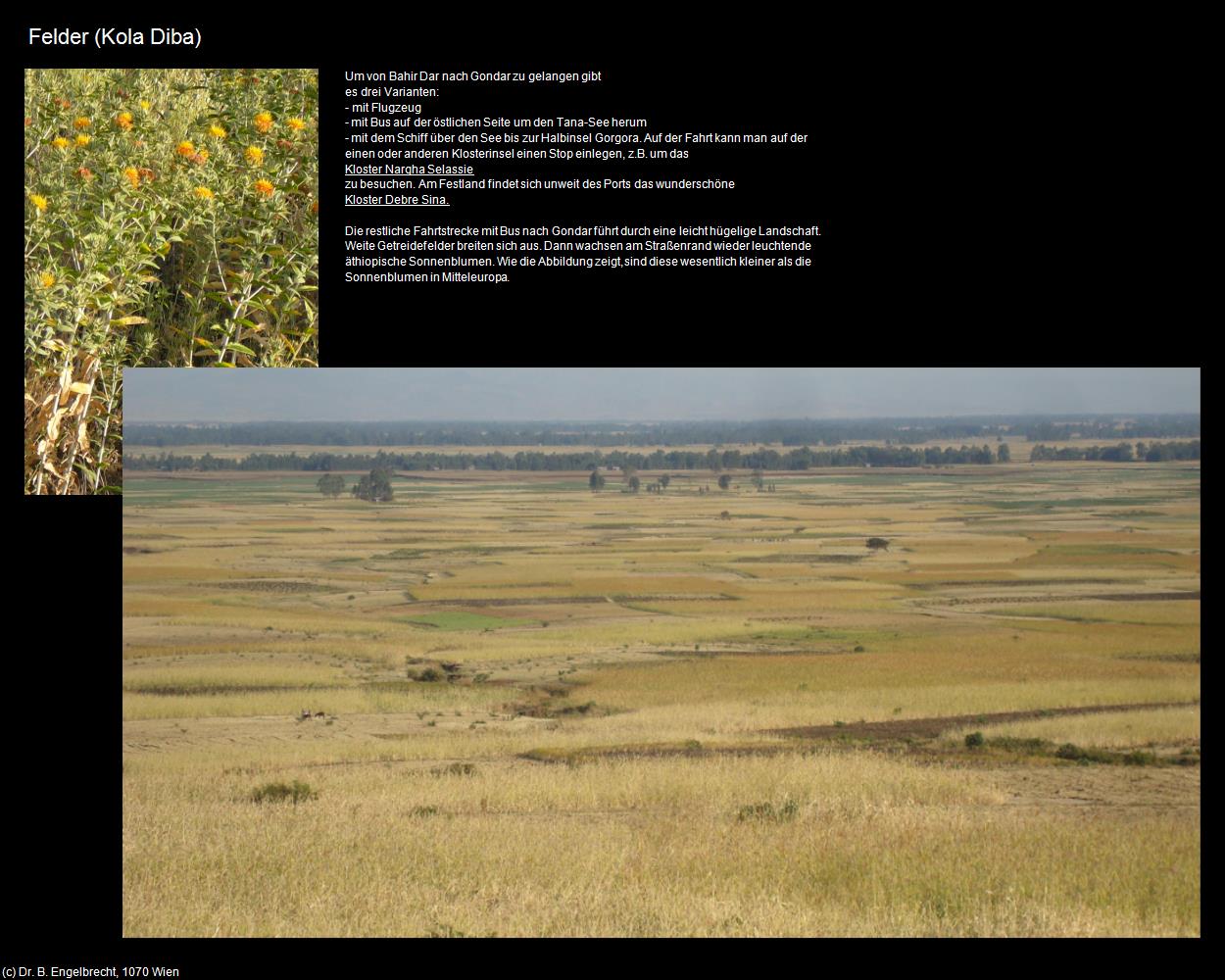 Felder (Route Bahir Dar-Gondar) in Äthiopien(c)B.Engelbrecht