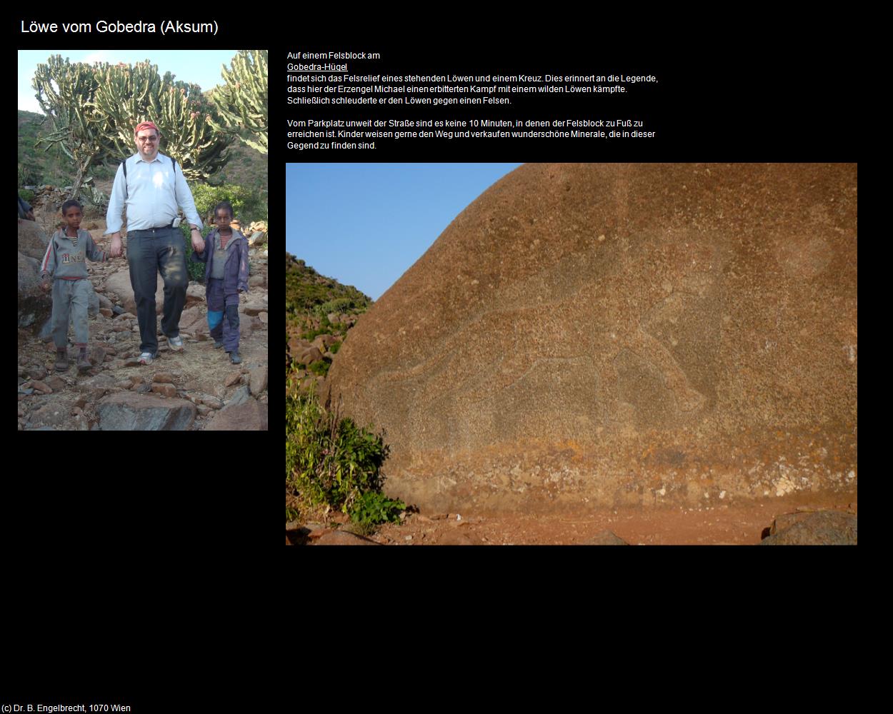 Löwe vom Gobedra  (Aksum) in Äthiopien(c)B.Engelbrecht