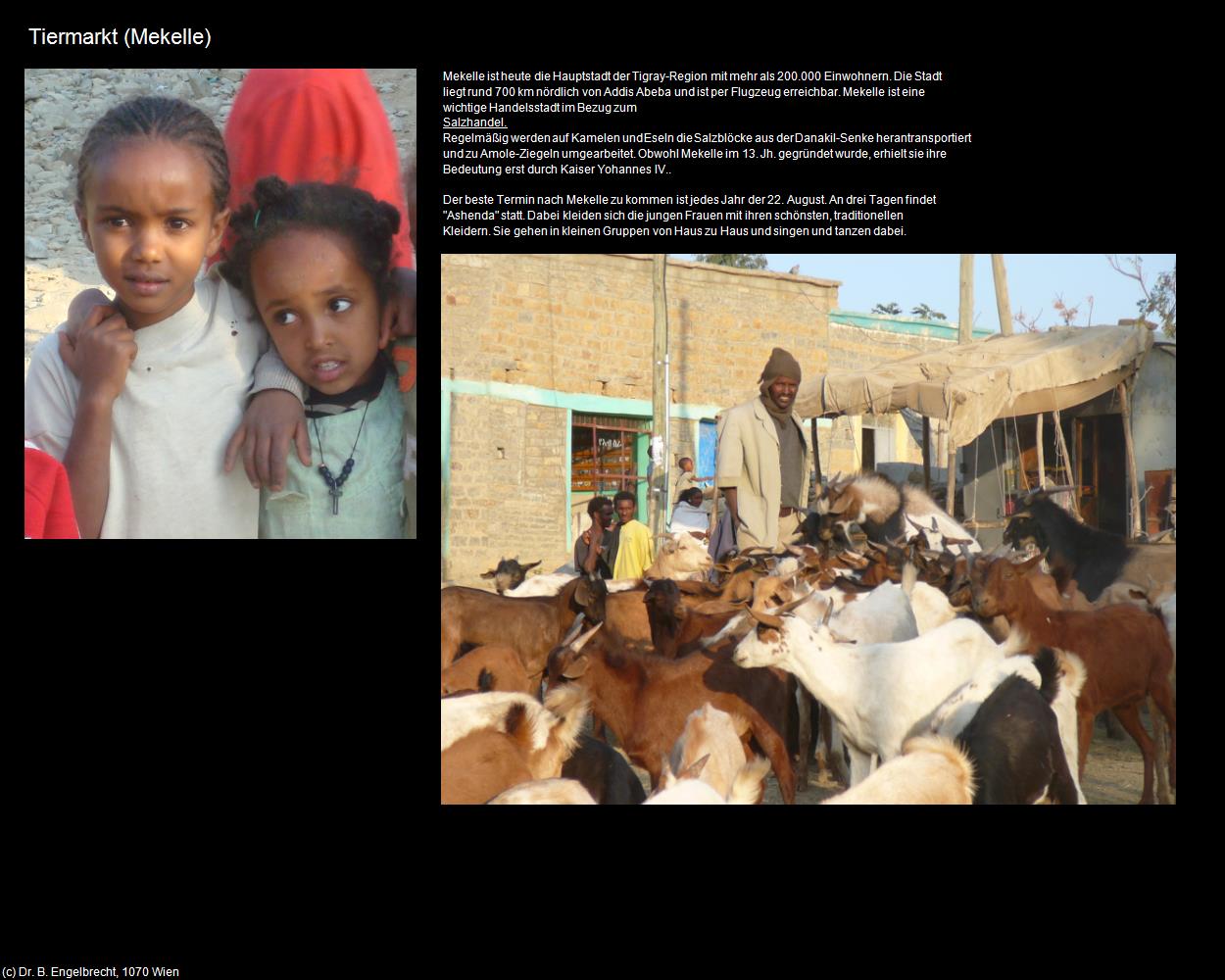Tiermarkt (Mekelle) in Äthiopien(c)B.Engelbrecht
