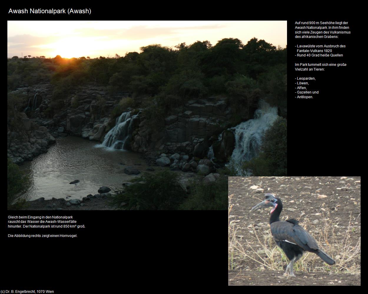 Awash Nationalpark (Route Addis Abeba-Harar) in Äthiopien