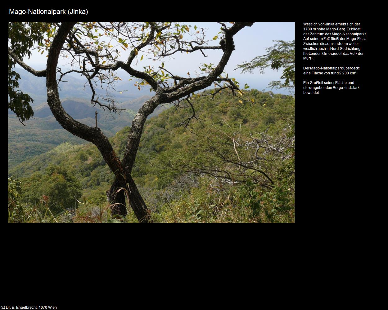 Mago-Nationalpark  (Jinka) in Äthiopien(c)B.Engelbrecht