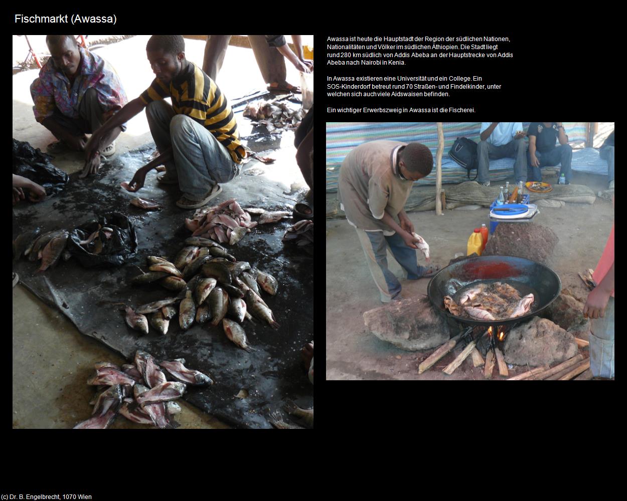 Fischmarkt  (Awassa) in Äthiopien