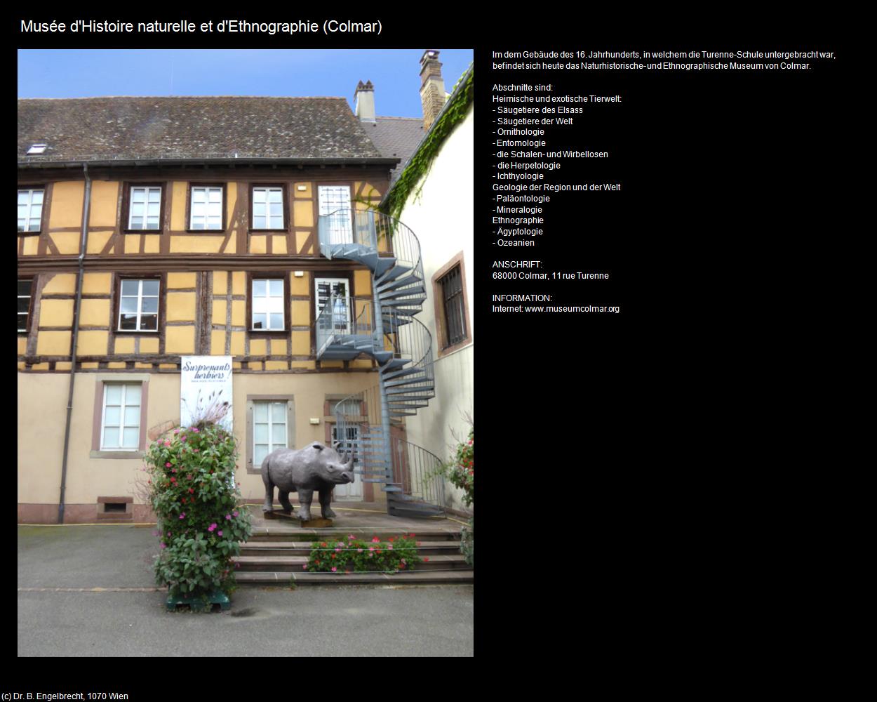 Musée d'Histoire naturelle et d'Ethnographie (Colmar (FR-GES)) in Kulturatlas-FRANKREICH