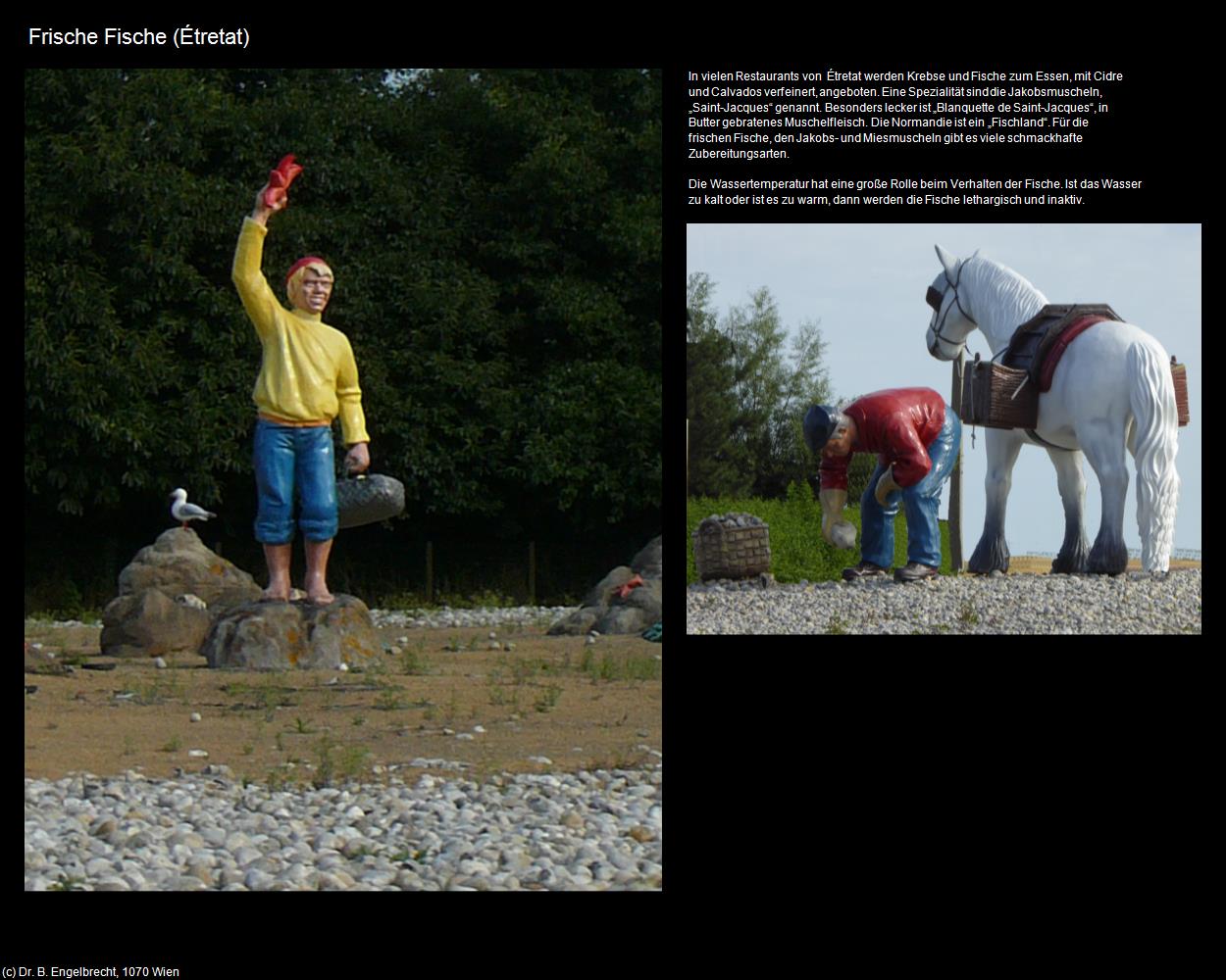 Frische Fische  (Etretat (FR-NOR)) in Kulturatlas-FRANKREICH