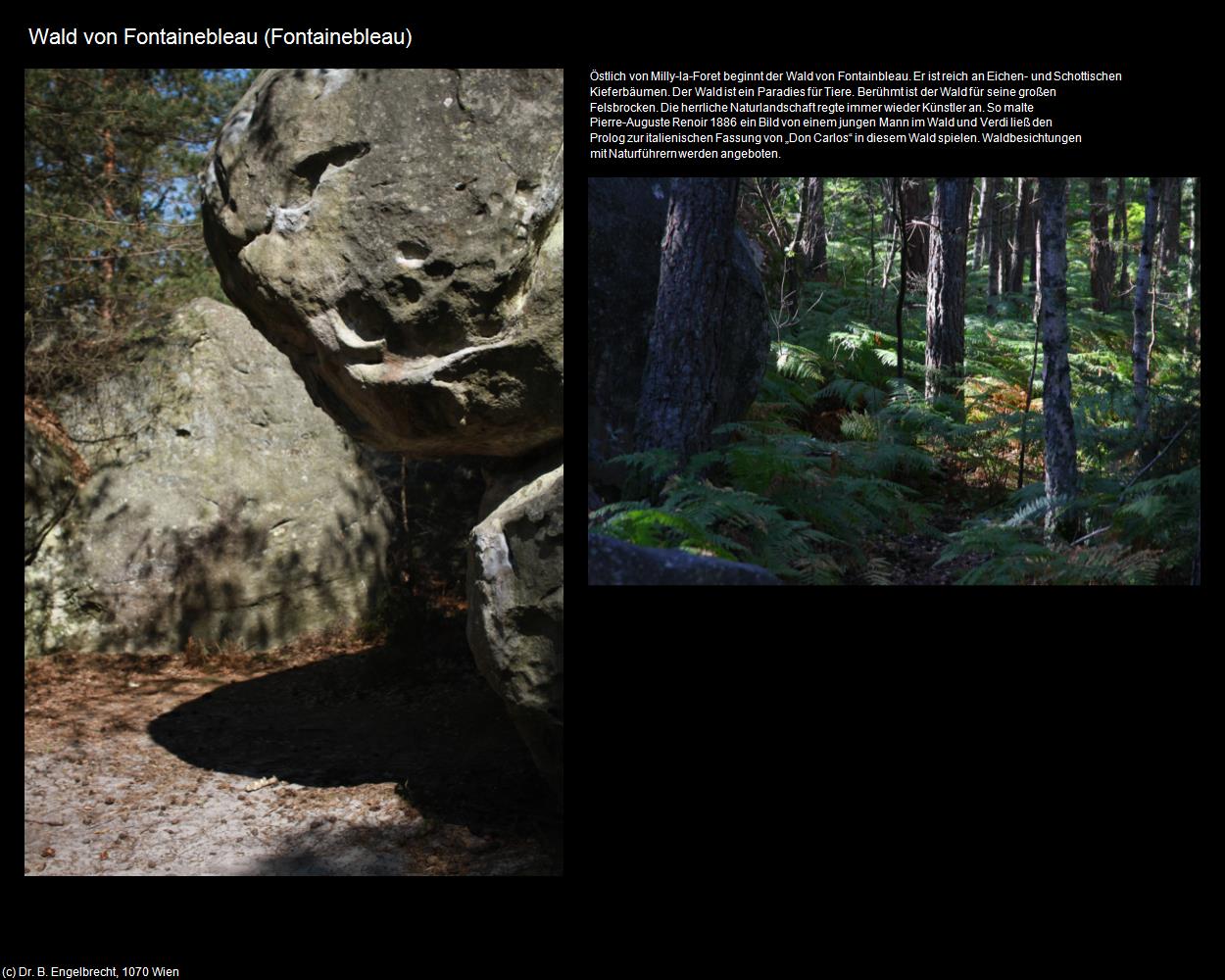 Wald von Fontainebleau (Fontainebleau)  (Fontainebleau (FR-IDF)) in Kulturatlas-FRANKREICH