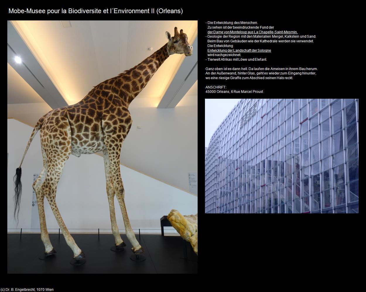 Mobe-Musee pour la Biodiversite et l‘Environment II  (Orleans (FR-CVL)) in Kulturatlas-FRANKREICH(c)B.Engelbrecht