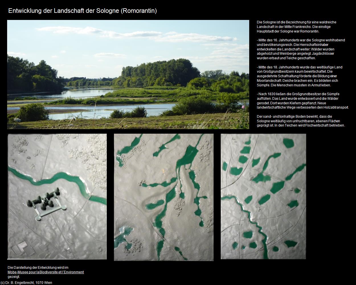 Entwicklung der Landschaft der Sologne (Romorantin (FR-CVL)) in Kulturatlas-FRANKREICH(c)B.Engelbrecht