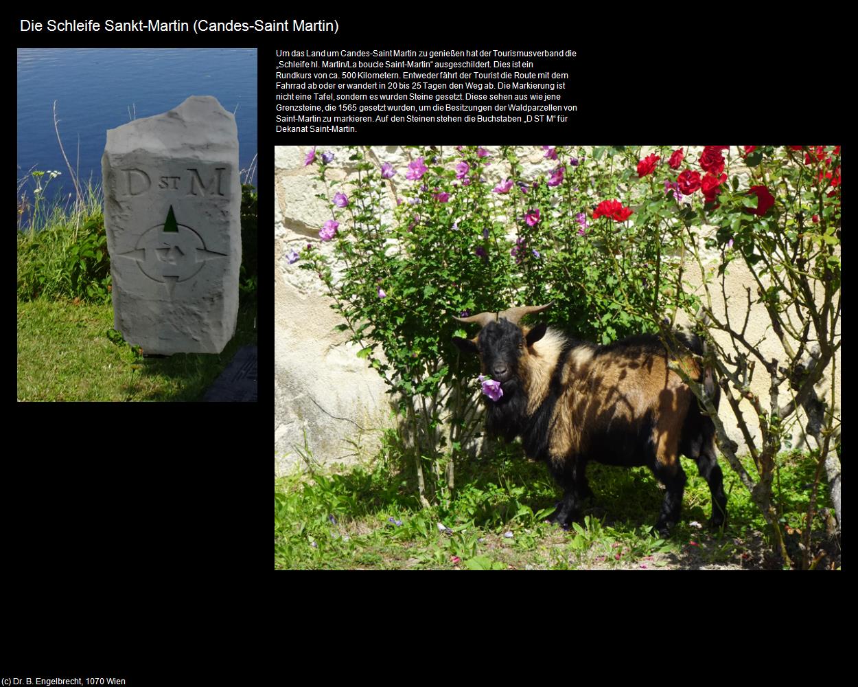 Die Schleife Sankt-Martin (Candes-Saint Martin (FR-CVL)) in Kulturatlas-FRANKREICH