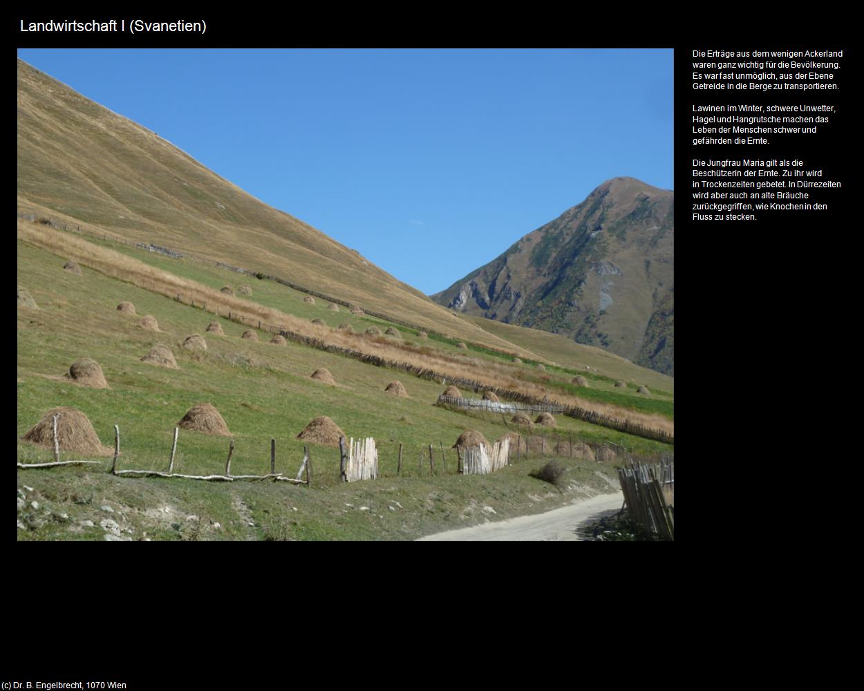 Landwirtschaft I  (Svanetien) in GEORGIEN