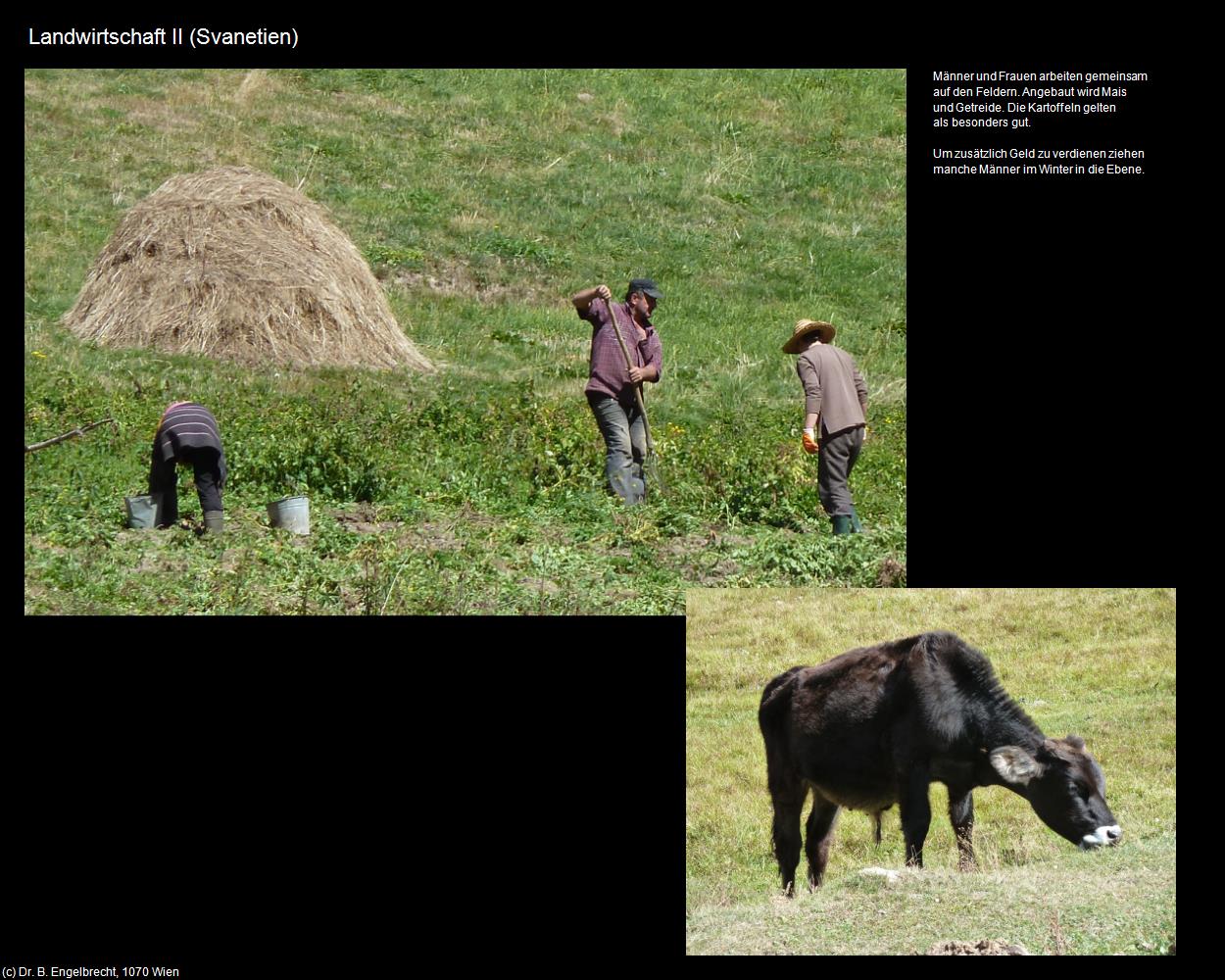 Landwirtschaft II  (Svanetien) in GEORGIEN