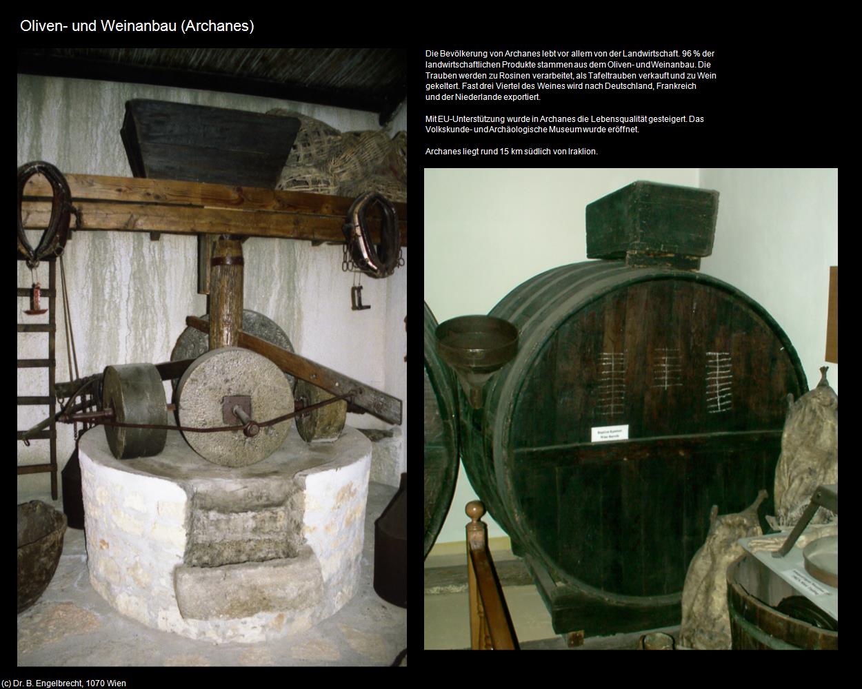 Oliven- und Weinanbau (Archanes) in KRETA und SANTORIN