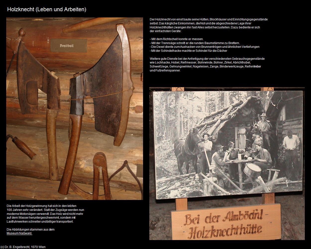 Holzknecht I (Holzgewinnung) in Leben-und-Arbeiten-einst(c)B.Engelbrecht