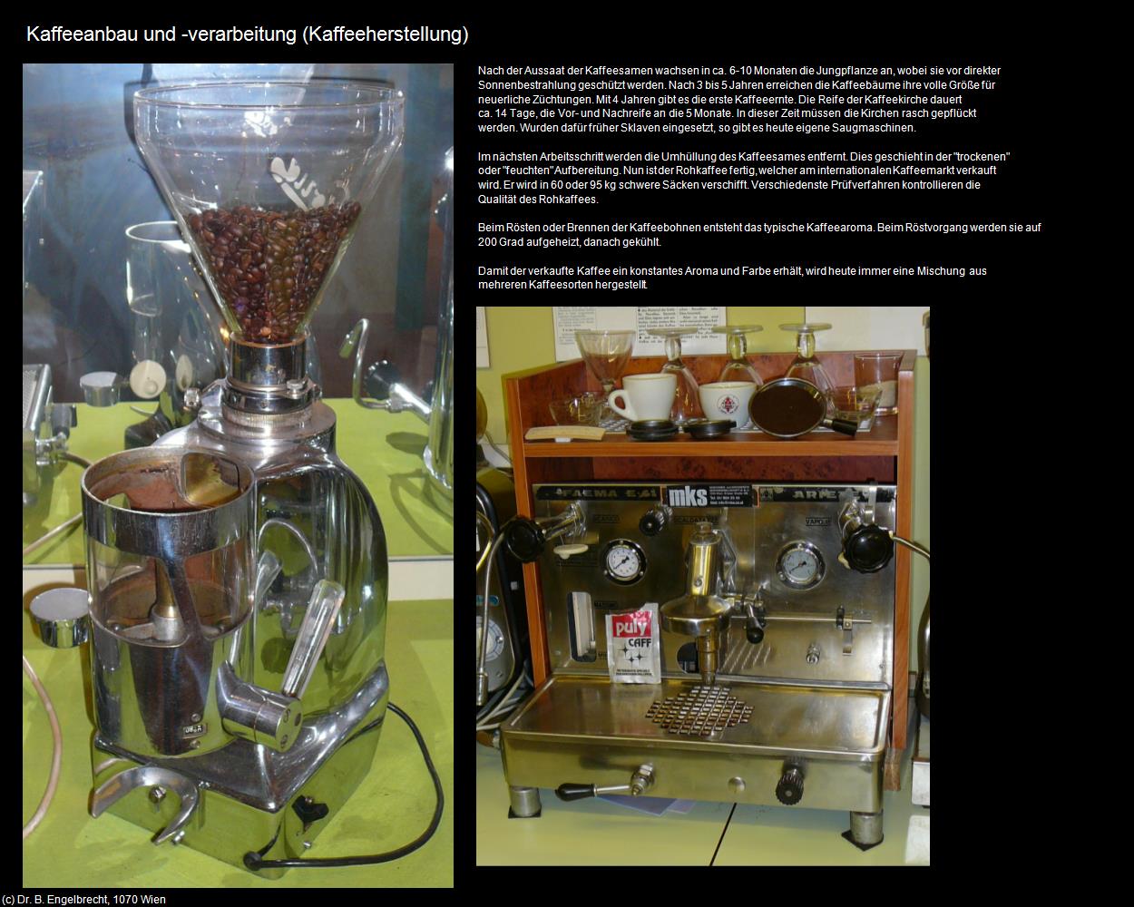 Kaffeeanbau und -verarbeitung (Kaffee-Herstellung) in Leben-und-Arbeiten-einst