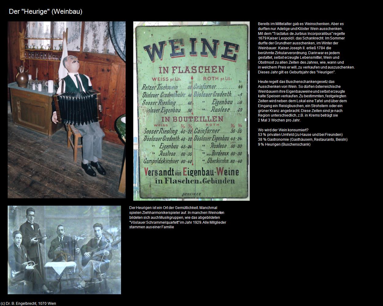 Heurige  (Weinbau) in Leben-und-Arbeiten-einst