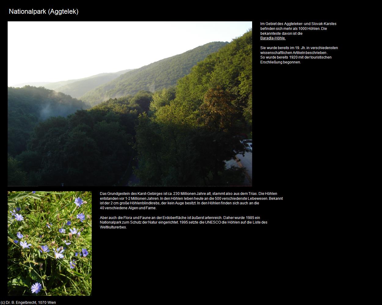 Nationalpark (Aggtelek) in Kulturatlas-UNGARN(c)B.Engelbrecht